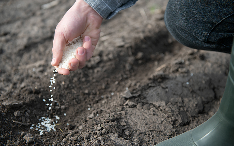 CAN fertilizer granules flowing through farmer hands