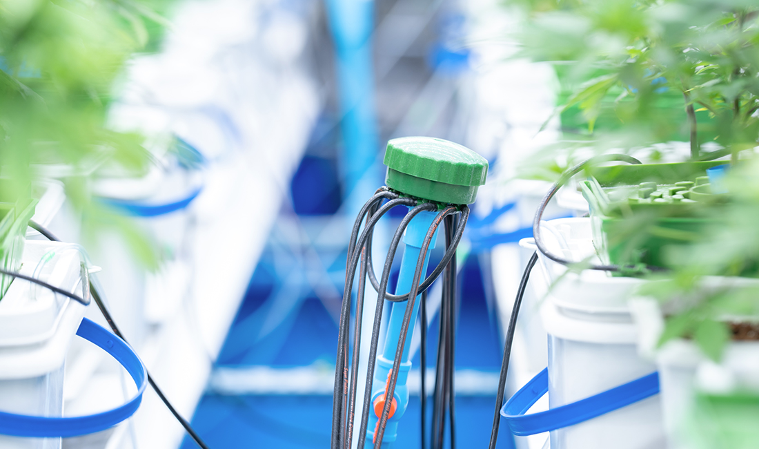MKP monopotassium phosphate used in greenhouse fertigation