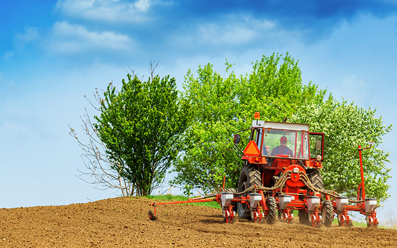 NPK compound fertilizer basal application in field