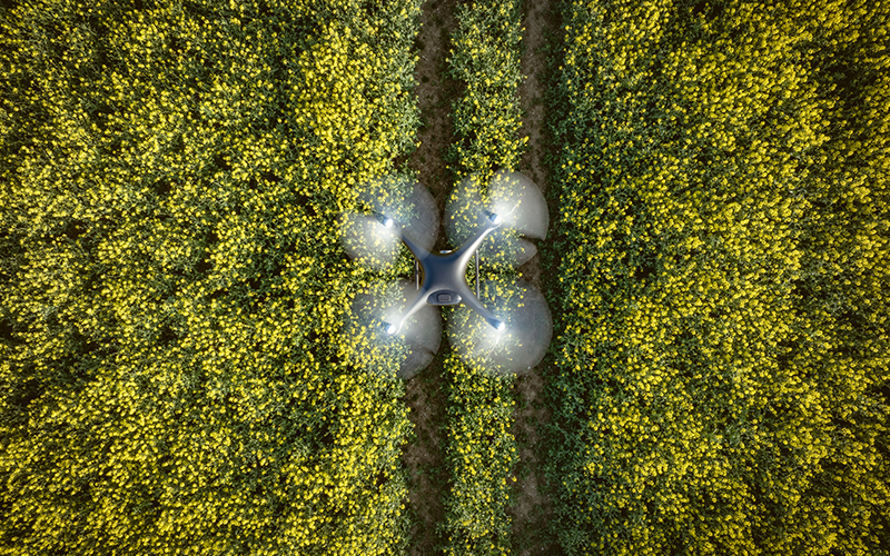 Water soluble fertilizer applied by foliar spray on crops